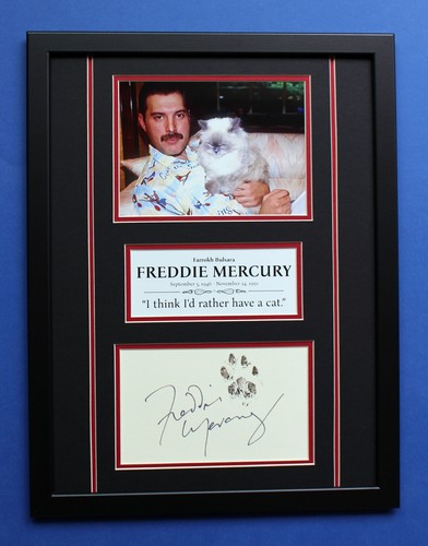 FREDDIE MERCURY & HIS CAT AUTOGRAPH framed artistic display Cat Lover High Level - 第 1/7 張圖片