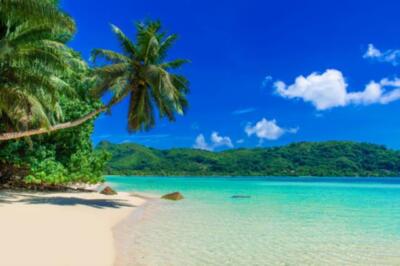 Wandbild: Griff - Paradise Beach in Seychellen, Mahe (83929742)