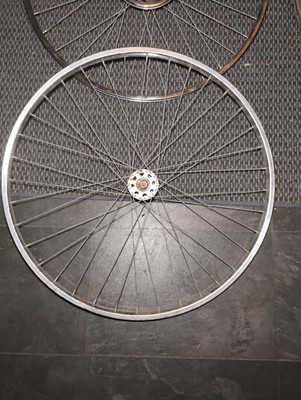 Schwinn Approved 27