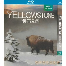 Yellowstone 2009 1-D New