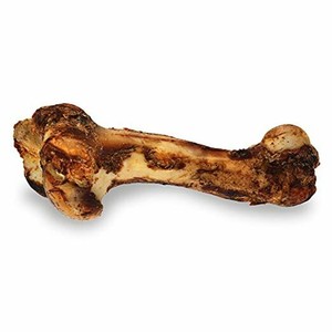 dino bone dog chew