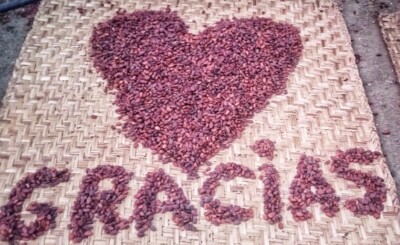 Cacao Porcelana , Cacao fro the Ecuadorian Amazon Direct trade - Impact farmers
