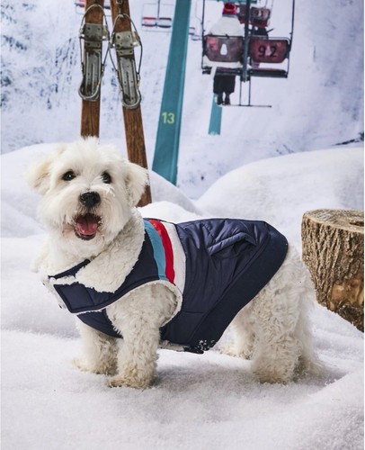 Hotel Doggy Sherpa Lined Puffer Best For Dogs Size Small - Picture 4 of 7