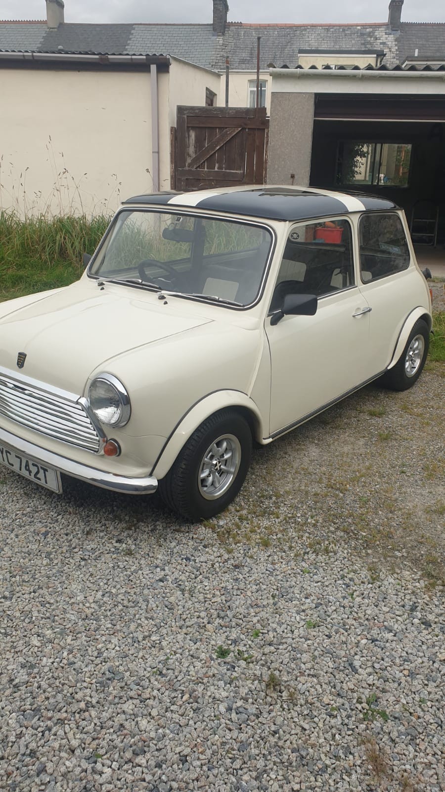 1979 Austin Mini