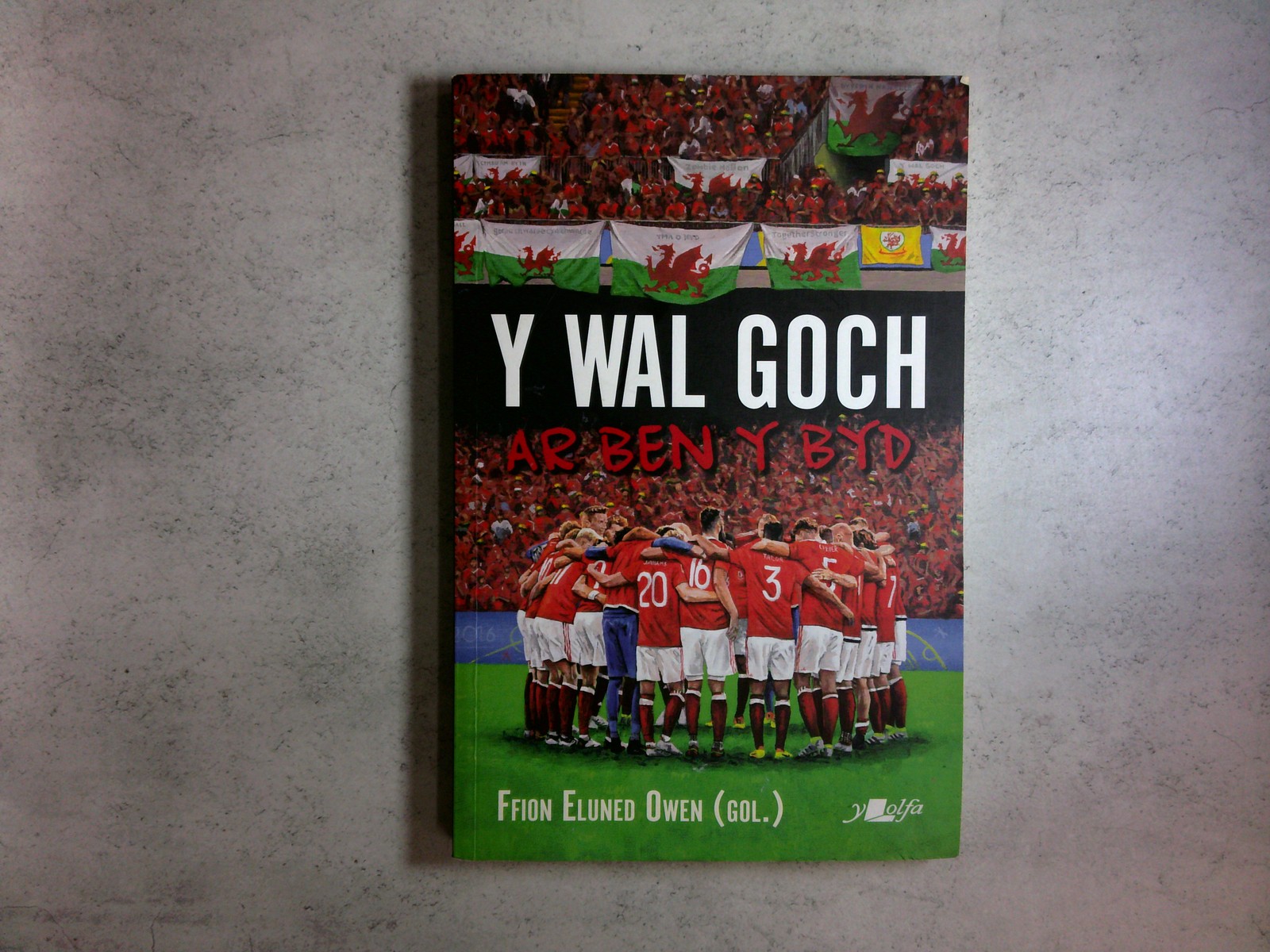 Y Wal Goch Ar Ben Y Byd by Ffion Eluned Owen (2022) Paperback