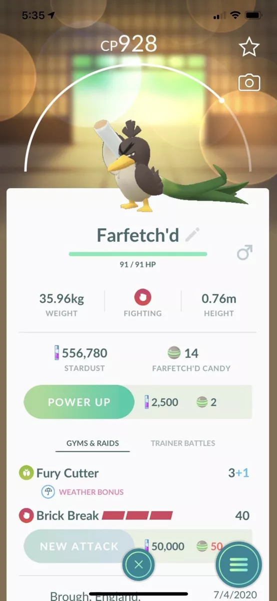 Farfetch'd - Pokemon Go