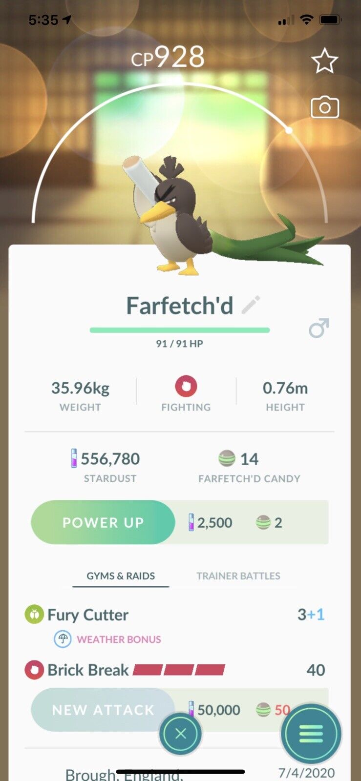 Galarian Farfetch'd Pokemon Go