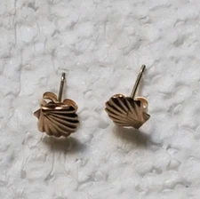 Women's Tiny 14k Gold Shell stud Earrings