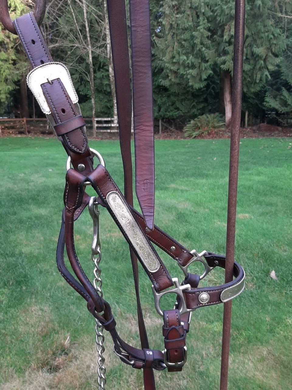 Vintage Alpaca Silver Show Halter Mare W/Lead