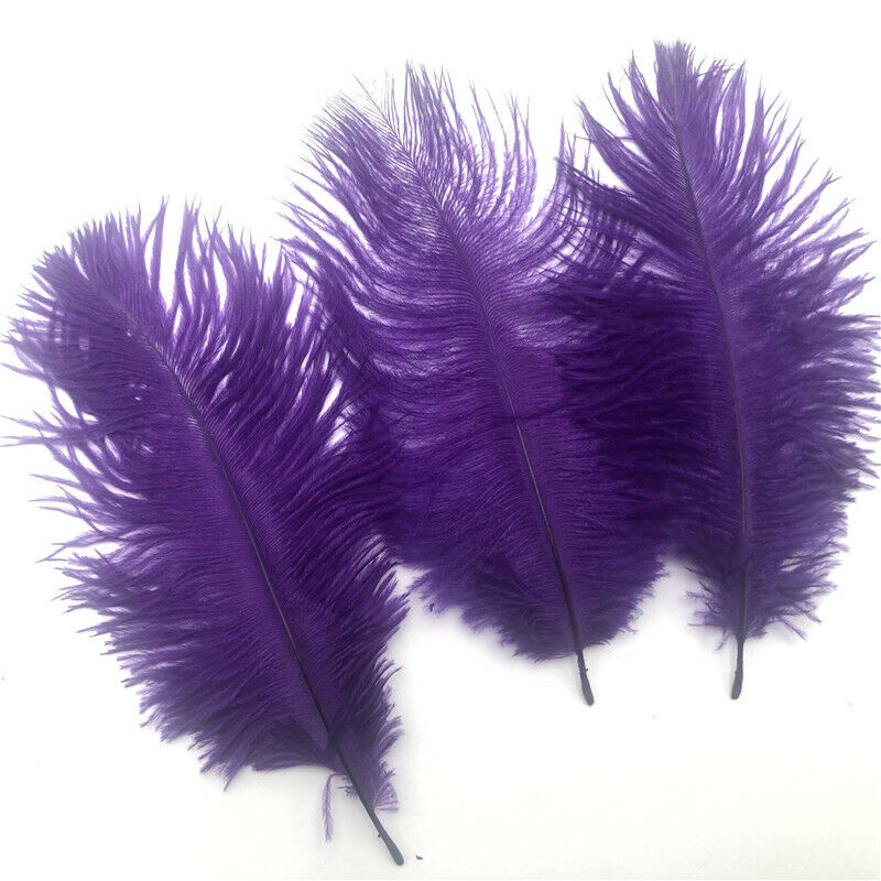 Beautiful 5 pcs natural ostrich feathers about 6-8 inches/15-20