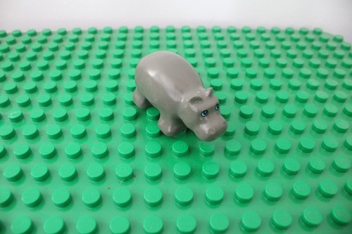 Vintage Duplo Gray BABY HIPPO River Wild Animal Farm Zoo Safari Small Blue Eyes - 第 1/2 張圖片