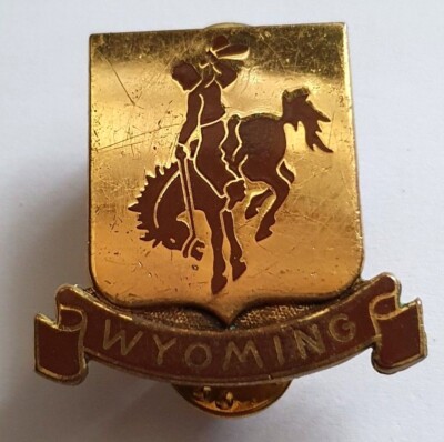 22M CB ROTC Award Pin Anstecker University of Wyoming - Meyer USA