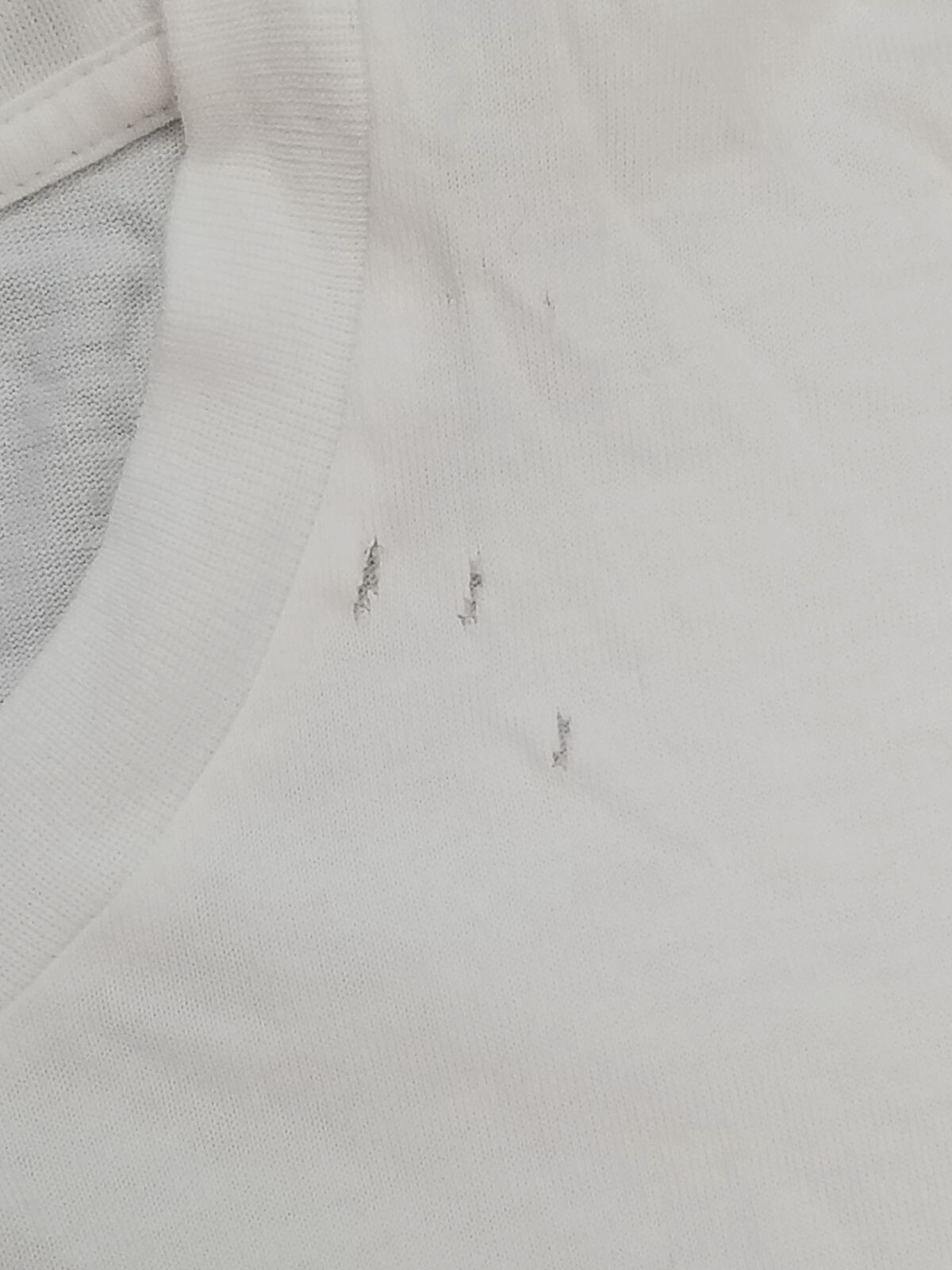 T shirt girocollo Saint Laurent donna bianca stampa foto tramonto taglia XS