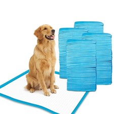 Petfamily Super-Absorbent 24 by 24 Inches Dog Training Pads - 100 Count of Pads
