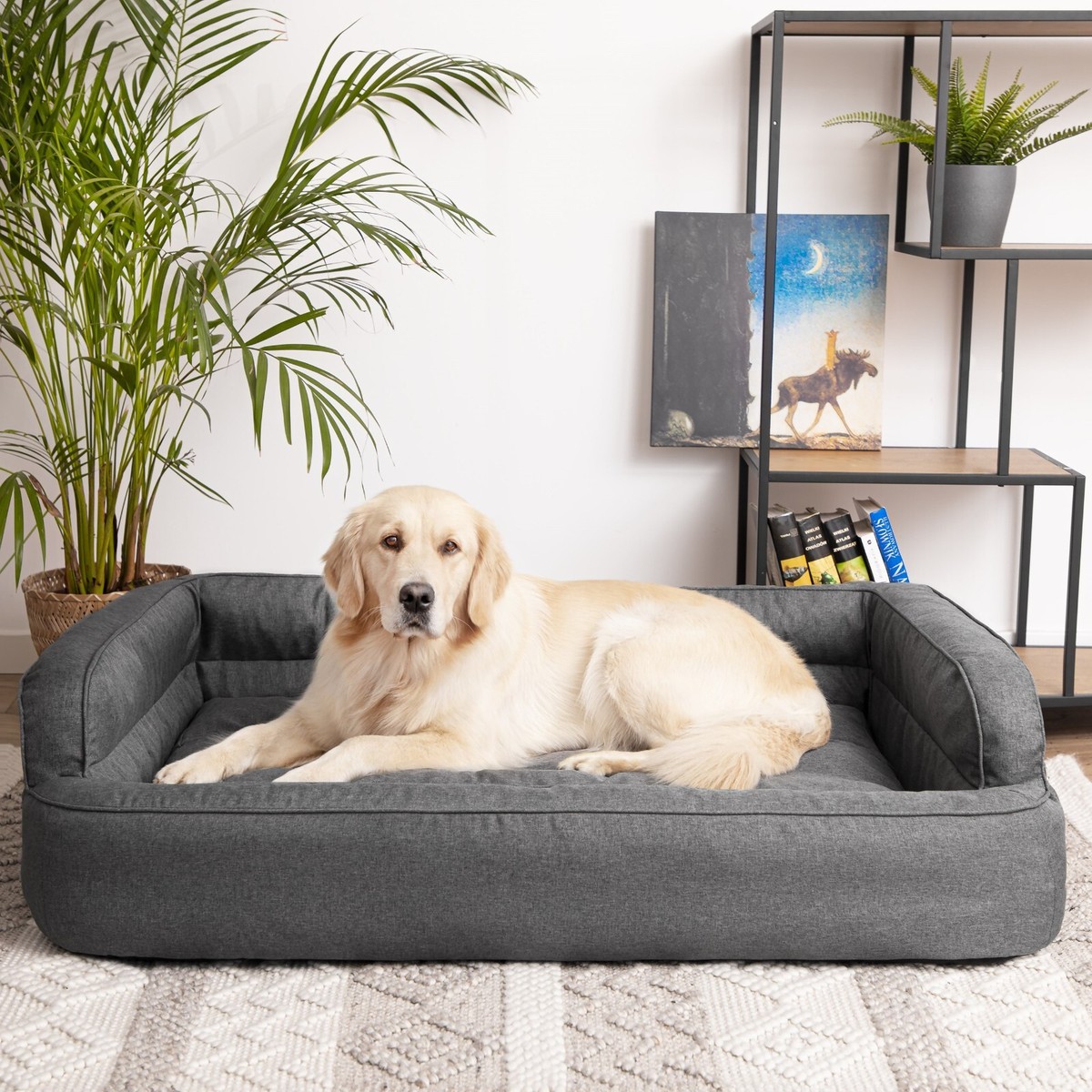hundeleine von hunter Hundeleine Hunter FREESTYLE Raspberry 200 cm  MONTE-PETS