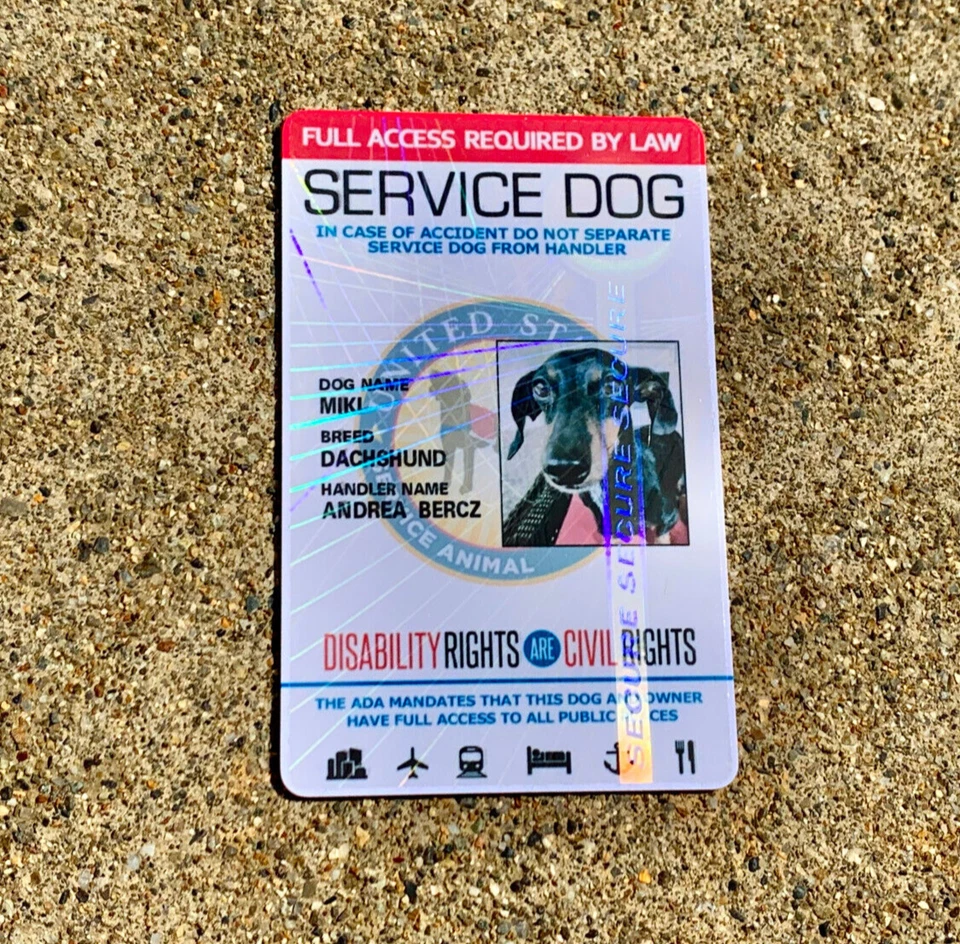 TARJETA DE IDENTIFICACIÓN DE PERRO DE SERVICIO CON REGISTRO - HOLOGRÁFICA Foto 4 de 4