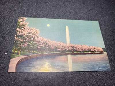 Washington Monument & Cherry Blossoms By Moonlight Washington DC Postcard￼