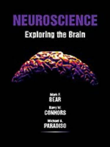 Neuroscience : Exploring the Brain by Barry W. Connors, Mark F