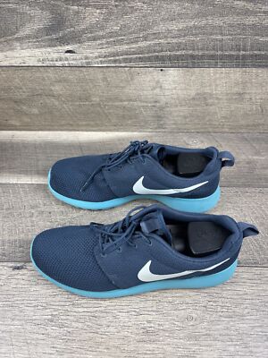roshe run blue