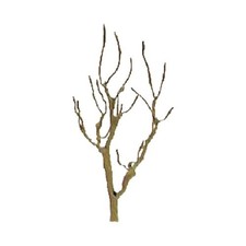 JTT Scenery Products Armaduras profesionales para árboles: gom (Importación USA)