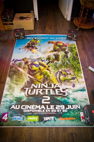 TMNT NINJA TURTLES 2 A French Shelter Rolled D/S Movie Poster Original 2016