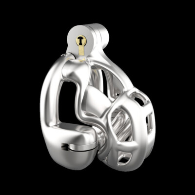 NEW Chastity Cage Double-Lock Cage Chastity Belt Rings with Device Chastity Cage