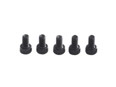 OUTRAGE Zylinderschraube M2,5 x 5 mm - Velocity 90 : RG50325-5