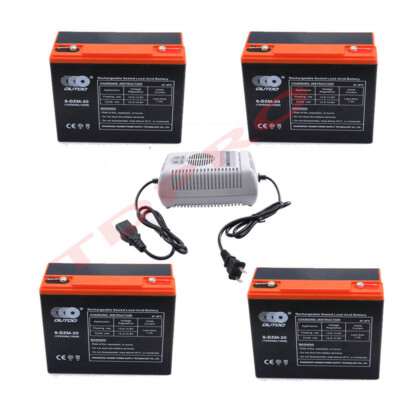 4 x 6-DZM-20 12V 24Ah Battery w/ 48V Charger Golf Cart Go Kart Mobility Scooter 