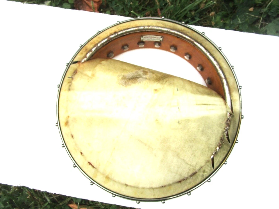 VINTAGE ORPHEUM BANJO POT.  1919,  11" HEAD, TONE RING - Image 3 of 4