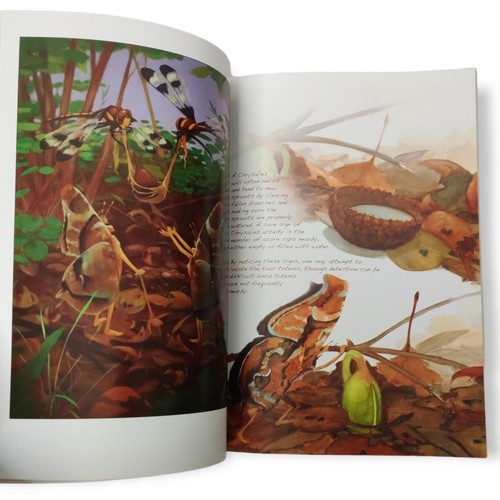 A Field Guide to Chrysalies: They're Not Faeries Chrysalis Butterfly Paul Keskey - Imagen 4 de 10