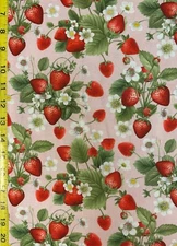 Strawberry Vines Pink Timeless Treasures Fabric Fruit CD3402 strawberries flower