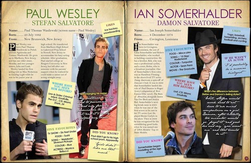 100% The Vampire Diaries Der inoffizielle Leitfaden von Evie Parker NEU mit POSTER - Bild 6 von 6