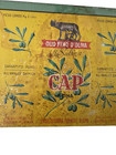 Rare CAP Roma Olio Fino D’Oliva della Sabina Lithographed Tin Plate — photo 5