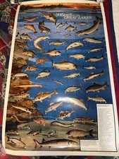 Vintage NOAA United States Government Fishes of the Great Lakes 90s Poster 30X48