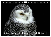 Calendar 2027 · US Version · Birds Of Prey, Owls And Owls (Wall Calendar 2027 12