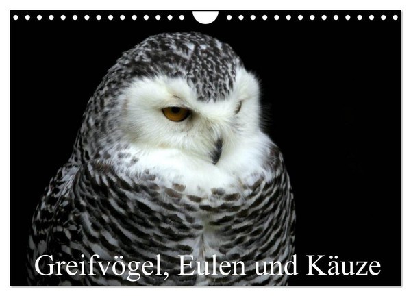 Calendar 2027 · US Version · Birds Of Prey, Owls And Owls (Wall Calendar 2027 12-image