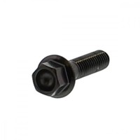 6 Kant Schraube M6X1.00 25Mm Edelstahl A4 Schwarz, LSSHX625BK, 7758530