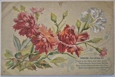 Vintage Postcard Carnation Poem Embossed Unposted AA43