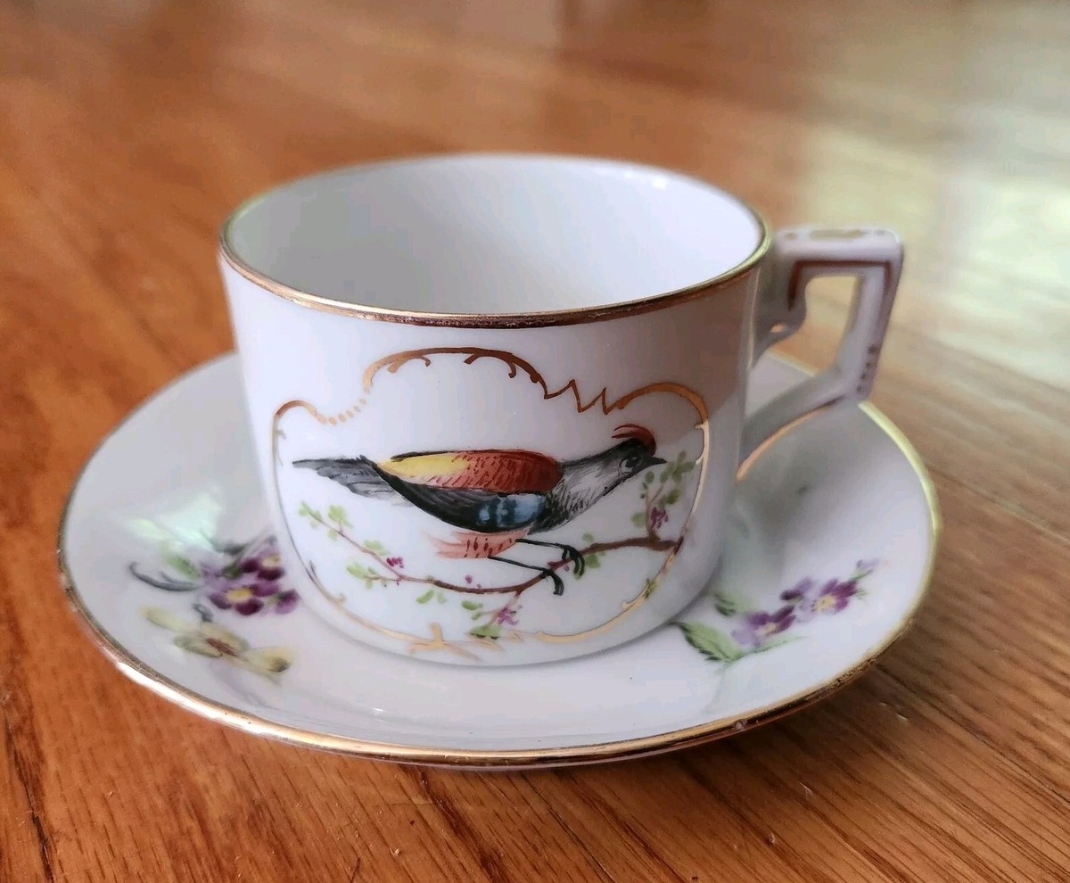 Vintage Richard Ginori 1735 Voliere Tea Cup & Saucer Set Bird