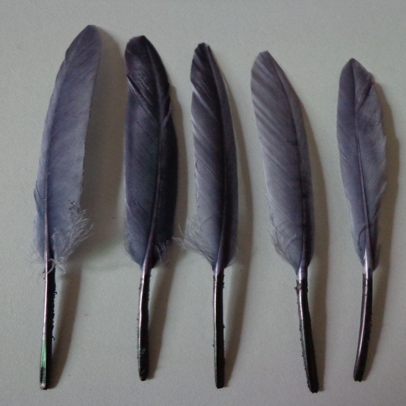 Wholesale 100/500/1000/2000PCS 10-15cm/4-6inches Beautiful Goose Feather DIY Speciale prijs voor het nieuwste product