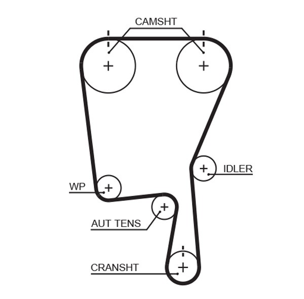 GATES-OE 5490XS Timing Belt for SEAT,VW