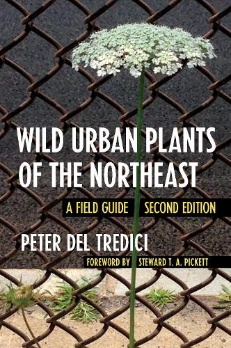 Wild Urban Plants of the Northeast - 9781501740442