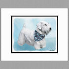 Sealyham Terrier Dog Original Art Print 8x10 Matted to 11x14