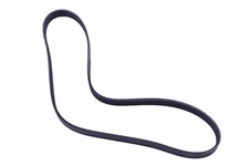 Serpentine Belt