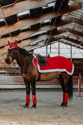 EQUITHEME - Xmas - Farbe: Rot, Rückenlänge Pferd: 145 cm