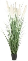 Artplants KüNstliches Pampasgras Quinal Im Dekotopf, Rispen, Creme, 240Cm