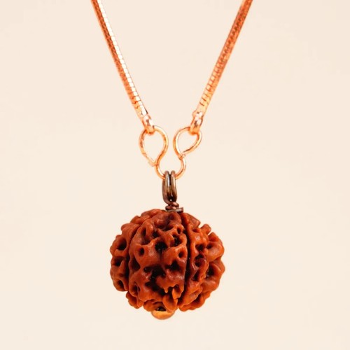 Adiyogi Rudraksha with copper chain (Long Chain). Energized Isha Panchamukhi - Picture 2 of 11