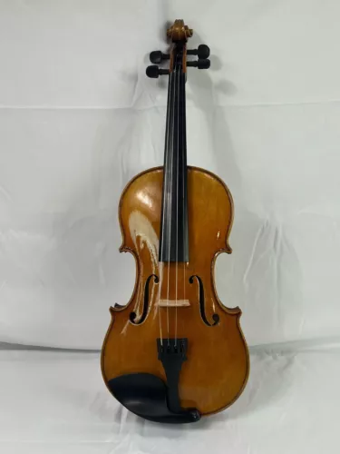HandMade Violin Outfit 4/4 Antique Looking Howardcore Shaped case GG-212