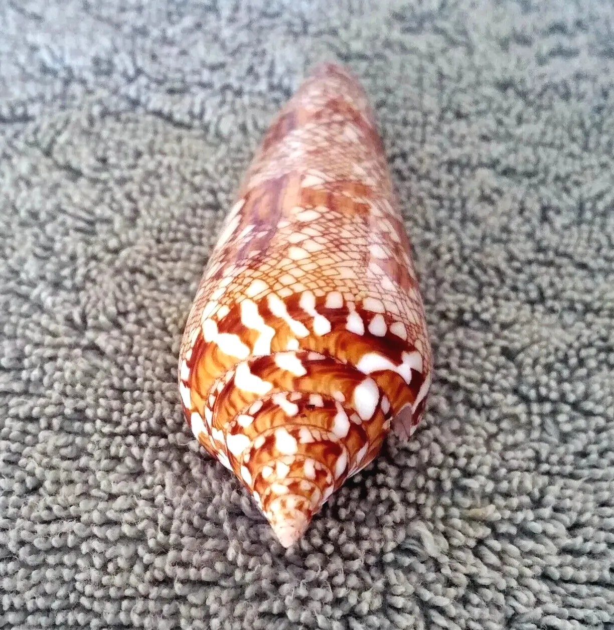 Picture 9 of 10