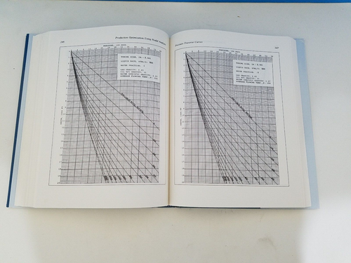 OGCI Produktionsoptimierung: mit KNOTENANALYSE H. Dale Beggs TOP - Bild 5 von 6
